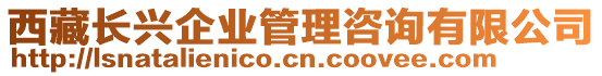 西藏長興企業(yè)管理咨詢有限公司