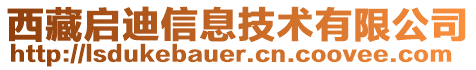 西藏啟迪信息技術有限公司