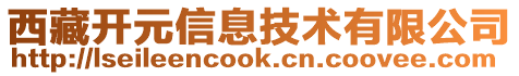 西藏開元信息技術(shù)有限公司