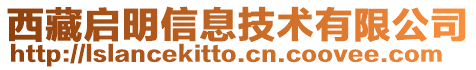 西藏啟明信息技術(shù)有限公司