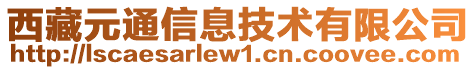 西藏元通信息技術(shù)有限公司