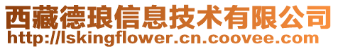 西藏德瑯信息技術(shù)有限公司