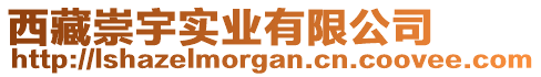 西藏崇宇實(shí)業(yè)有限公司