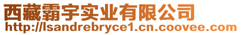 西藏霸宇實業(yè)有限公司