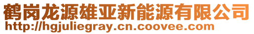 鶴崗龍源雄亞新能源有限公司