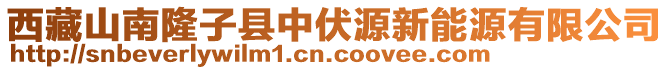 西藏山南隆子縣中伏源新能源有限公司