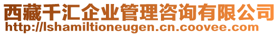 西藏千匯企業(yè)管理咨詢有限公司