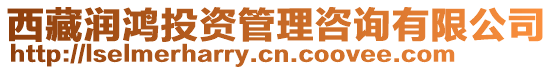 西藏潤鴻投資管理咨詢有限公司