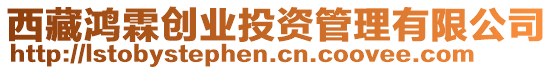 西藏鴻霖創(chuàng)業(yè)投資管理有限公司