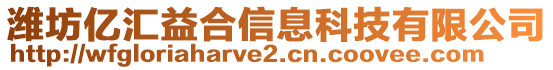 濰坊億匯益合信息科技有限公司