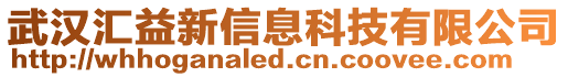 武漢匯益新信息科技有限公司