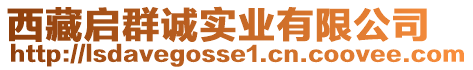 西藏啟群誠實(shí)業(yè)有限公司