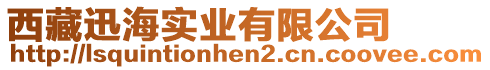 西藏迅海實業(yè)有限公司