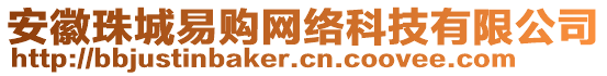 安徽珠城易購(gòu)網(wǎng)絡(luò)科技有限公司