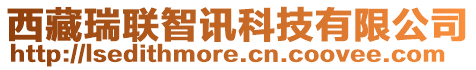 西藏瑞聯(lián)智訊科技有限公司