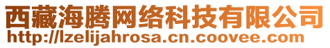 西藏海騰網絡科技有限公司