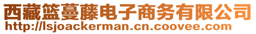 西藏籃蔓藤電子商務(wù)有限公司