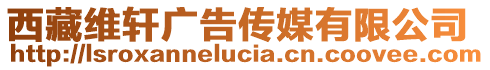 西藏维轩广告传媒有限公司