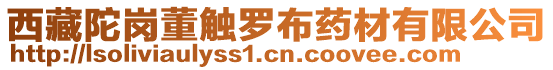 西藏陀崗董觸羅布藥材有限公司