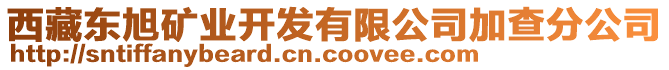 西藏東旭礦業(yè)開發(fā)有限公司加查分公司