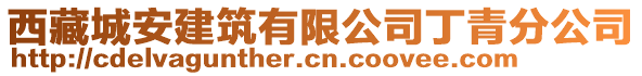 西藏城安建筑有限公司丁青分公司