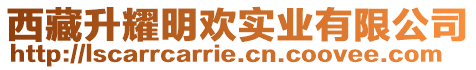 西藏升耀明歡實(shí)業(yè)有限公司