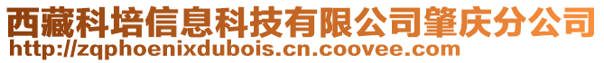 西藏科培信息科技有限公司肇慶分公司