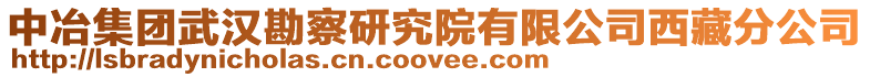 中冶集團武漢勘察研究院有限公司西藏分公司