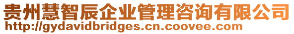 贵州慧智辰企业管理咨询有限公司