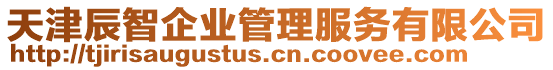 天津辰智企业管理服务有限公司