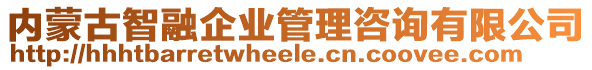 内蒙古智融企业管理咨询有限公司