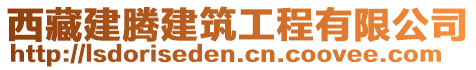 西藏建騰建筑工程有限公司