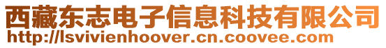 西藏東志電子信息科技有限公司