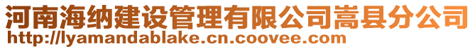 河南海納建設管理有限公司嵩縣分公司