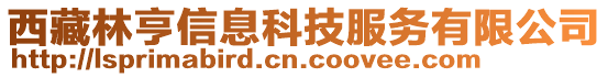 西藏林亨信息科技服務(wù)有限公司