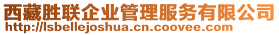 西藏勝聯(lián)企業(yè)管理服務(wù)有限公司