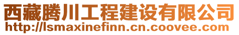 西藏騰川工程建設有限公司