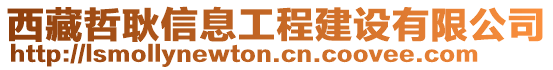 西藏哲耿信息工程建設(shè)有限公司