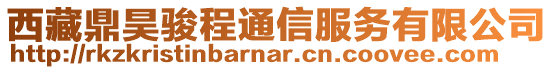 西藏鼎昊駿程通信服務(wù)有限公司