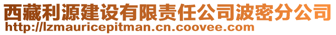 西藏利源建設有限責任公司波密分公司