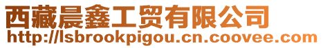 西藏晨鑫工貿有限公司