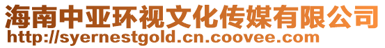 海南中亞環視文化傳媒有限公司