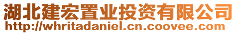 湖北建宏置業投資有限公司