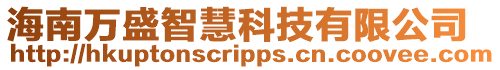 海南萬盛智慧科技有限公司