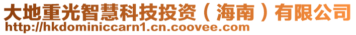 大地重光智慧科技投資(海南)有限公司