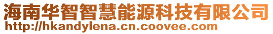 海南華智智慧能源科技有限公司