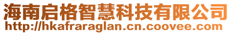 海南啟格智慧科技有限公司