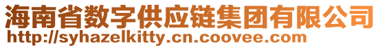 海南省數(shù)字供應(yīng)鏈集團(tuán)有限公司