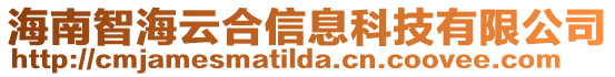 海南智海云合信息科技有限公司