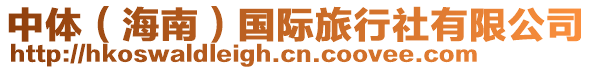中體(海南)國際旅行社有限公司